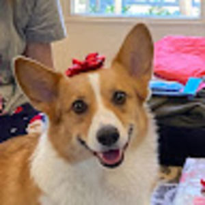 Meet your Posher, Katharine